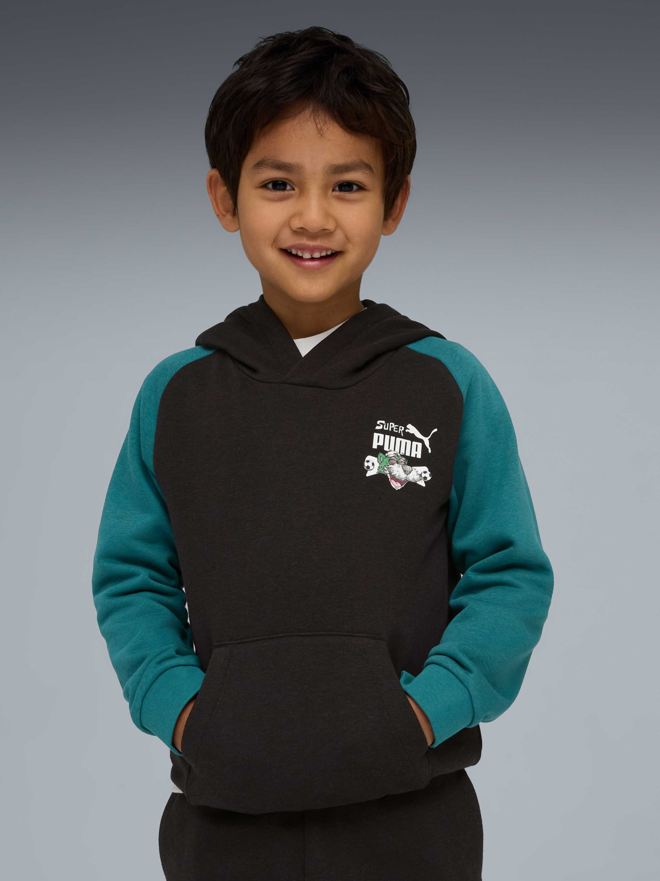 Худи и свитшоты PUMA Super Hoodie модель 691919 Фото