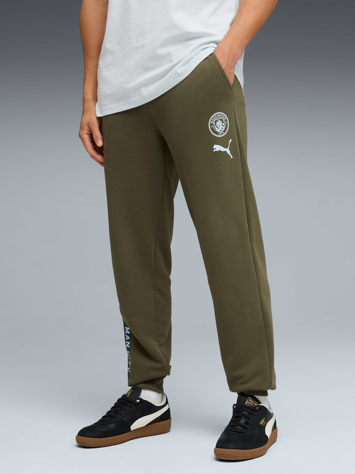 Брюки PUMA Mcfc Ftblculture Sweat Pants модель 785883 Брюки PUMA Mcfc Ftblculture Sweat Pants модель 785883 Фото