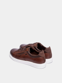 Кеды Forelli модель 39501-Brown Фото