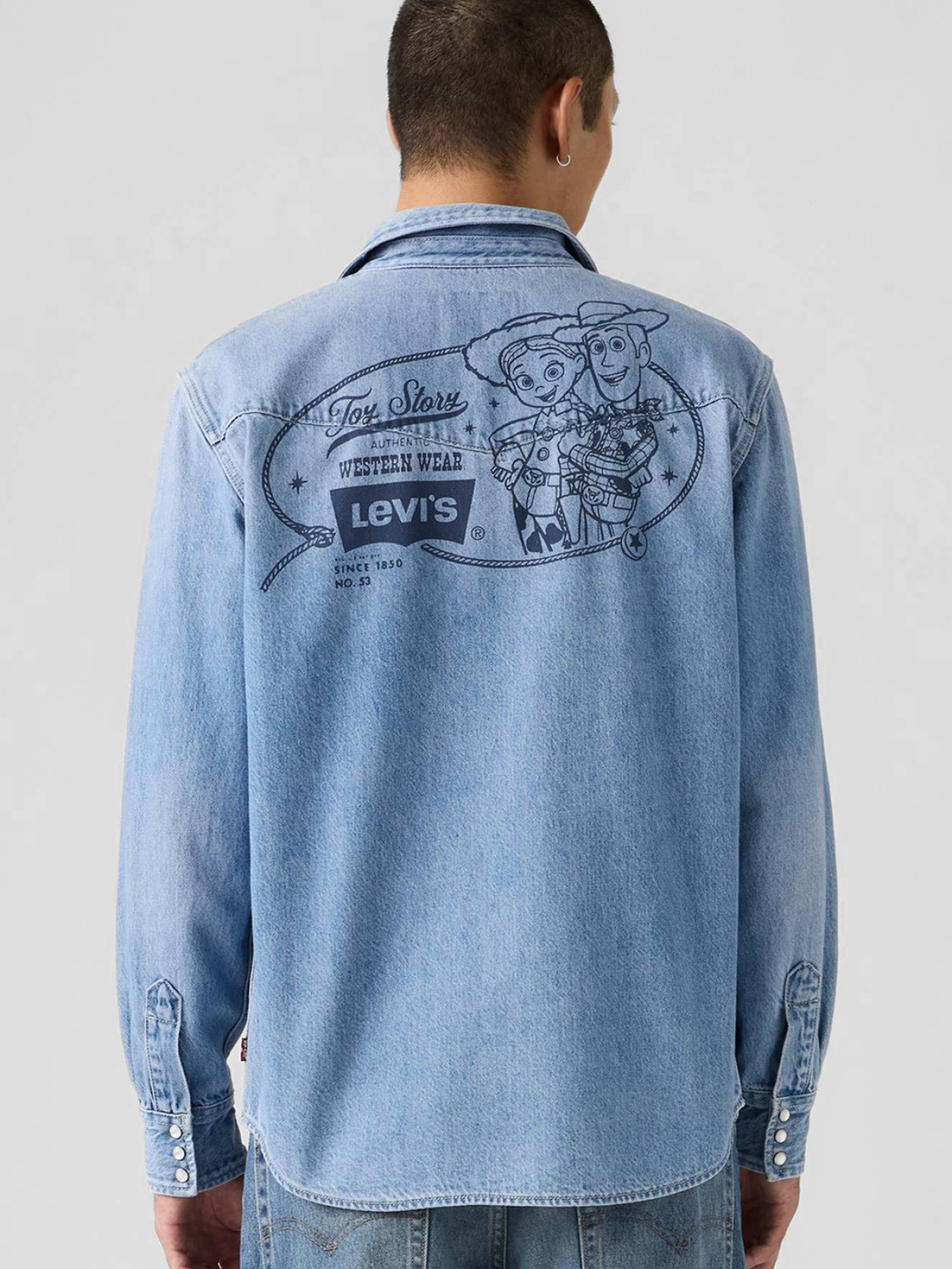 Рубашки Levi's модель 0034P;0000 Фото