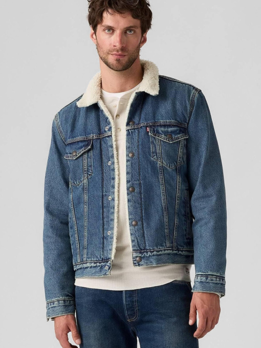 Куртки та дублянки Levi's модель 16365;0292 Фото