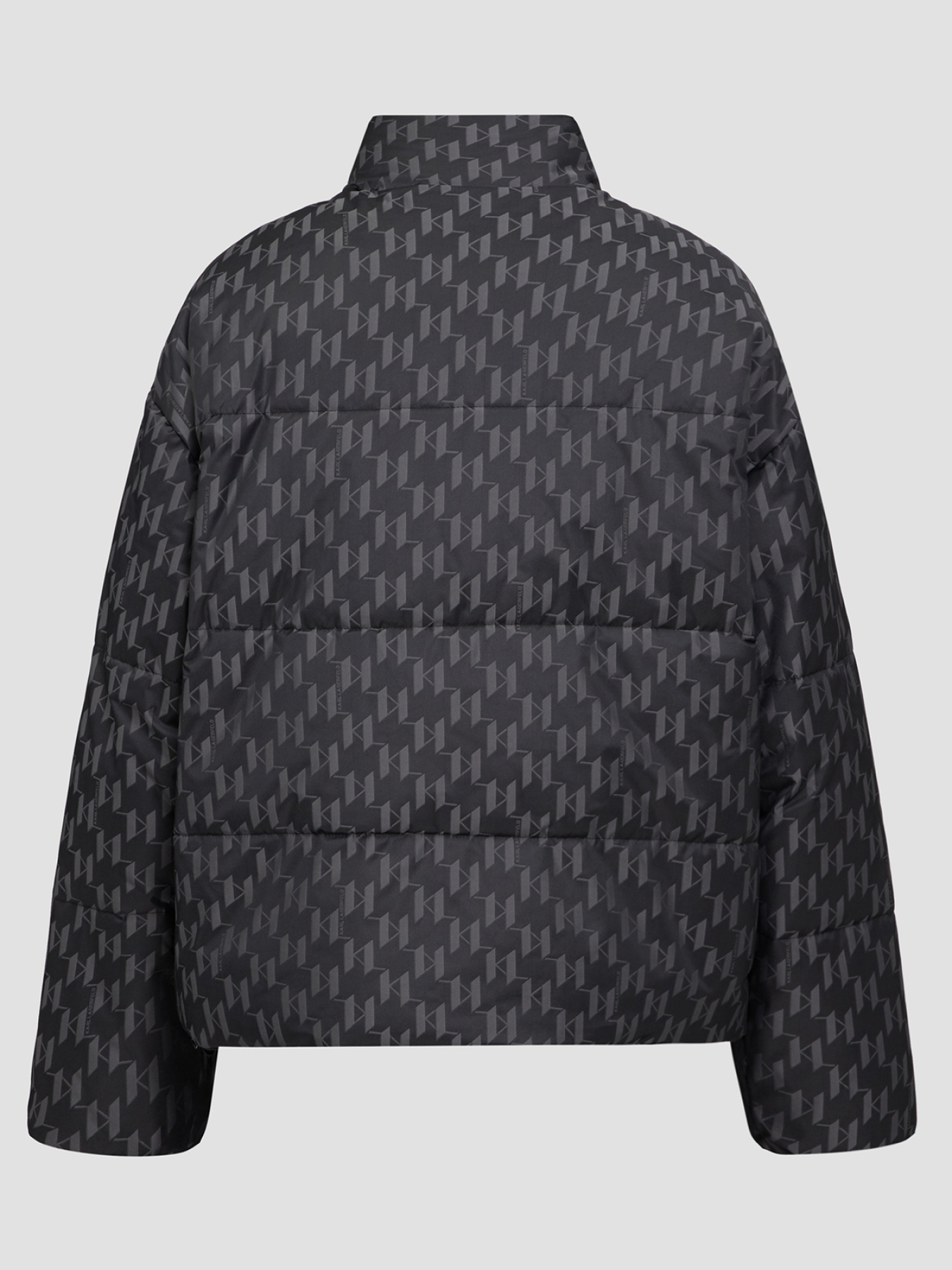 Куртки и дубленки Karl Lagerfeld модель 544529.505018;990 Фото