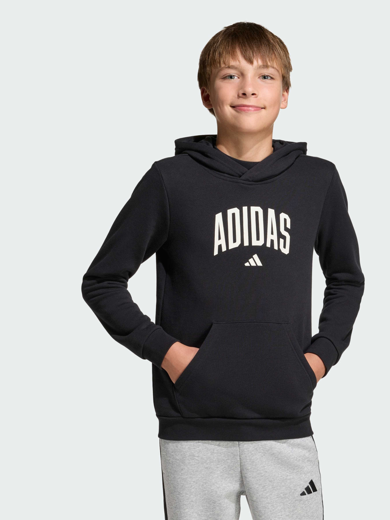 Худи и свитшоты Adidas модель KA2990 Фото