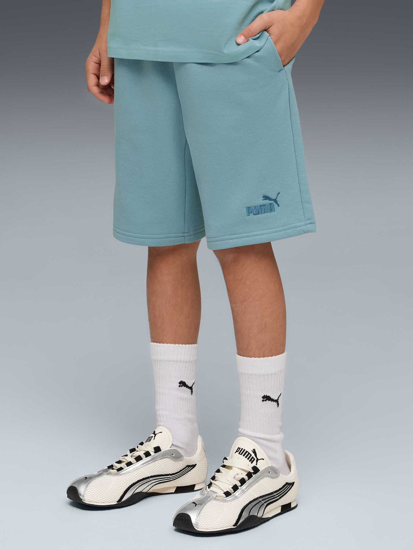 Шорты PUMA Ess Small No.1 Logo Shorts T модель 692974 Шорты PUMA Ess Small No.1 Logo Shorts T модель 692974 Фото