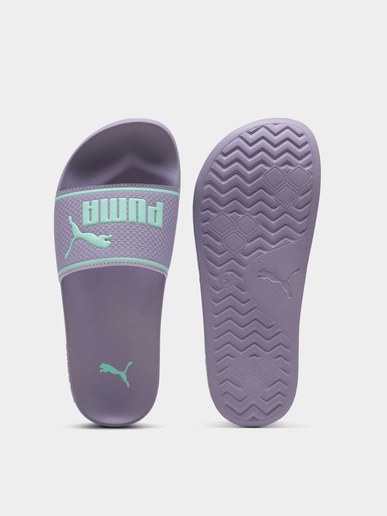 Шльопанці PUMA Leadcat 2.0 модель 399706 Фото