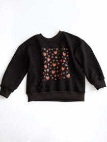 Худи и свитшоты Alwair Kids модель 81176 Фото