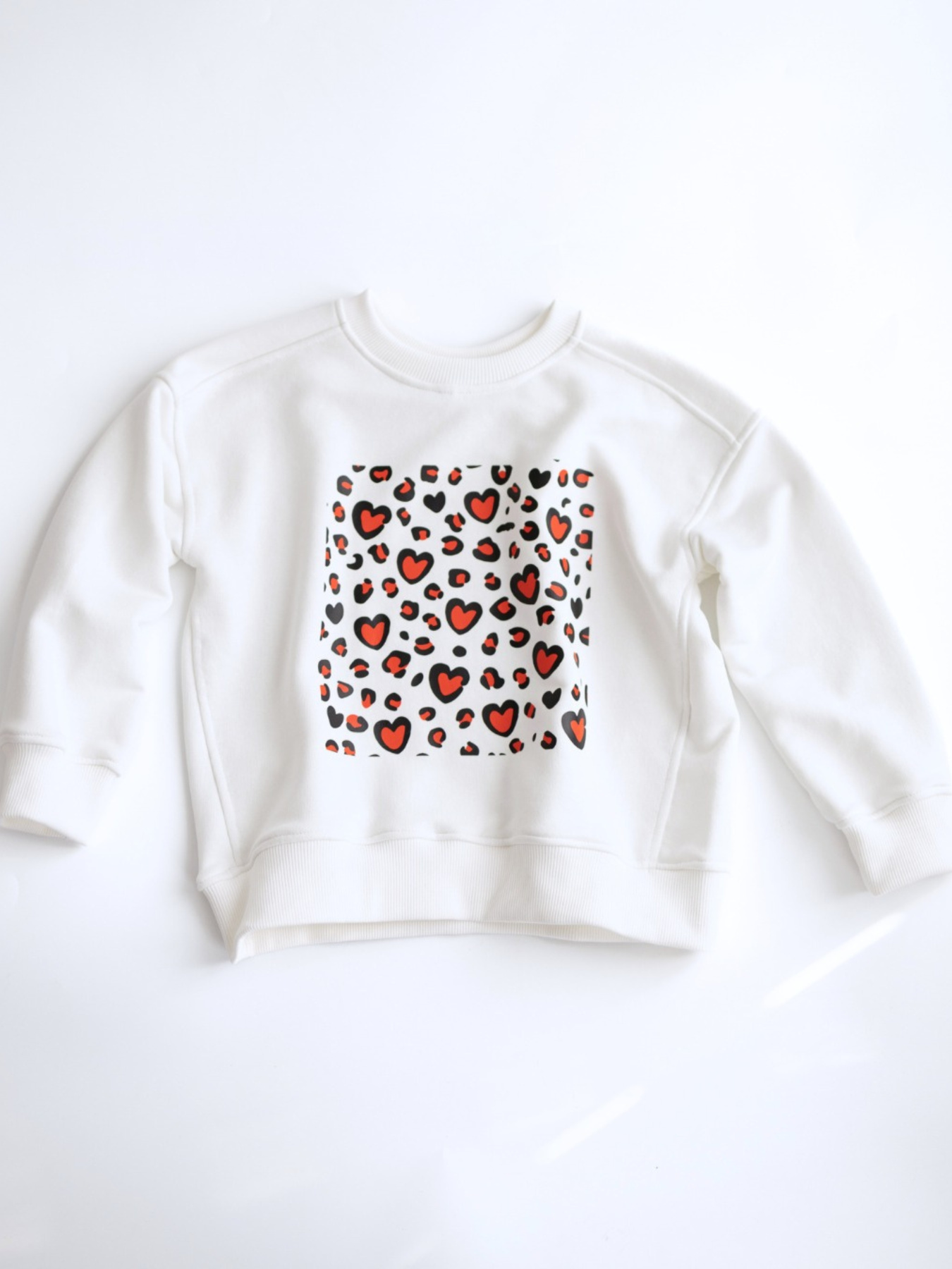 Худи и свитшоты Alwair Kids модель 81176 Худи и свитшоты Alwair Kids модель 81176 Фото