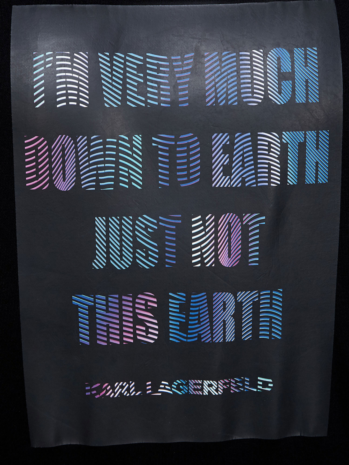 Худи и свитшоты Karl Lagerfeld модель 534910.705022;990 Фото