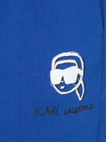 Брюки Karl Lagerfeld модель 553904.705113;660 Фото