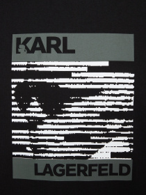 Футболки и поло Karl Lagerfeld модель 554225.755131;990 Фото