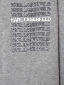 Худі та світшоти Karl Lagerfeld модель 554906.705126;941 Фото