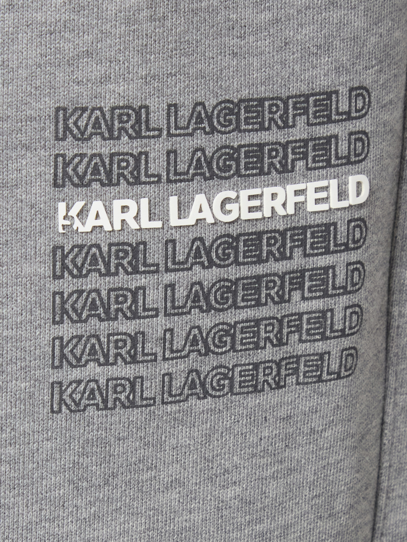Брюки Karl Lagerfeld модель 554906.705129;941 Фото
