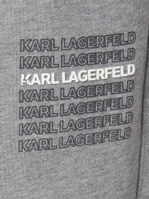 Брюки Karl Lagerfeld модель 554906.705129;941 Фото