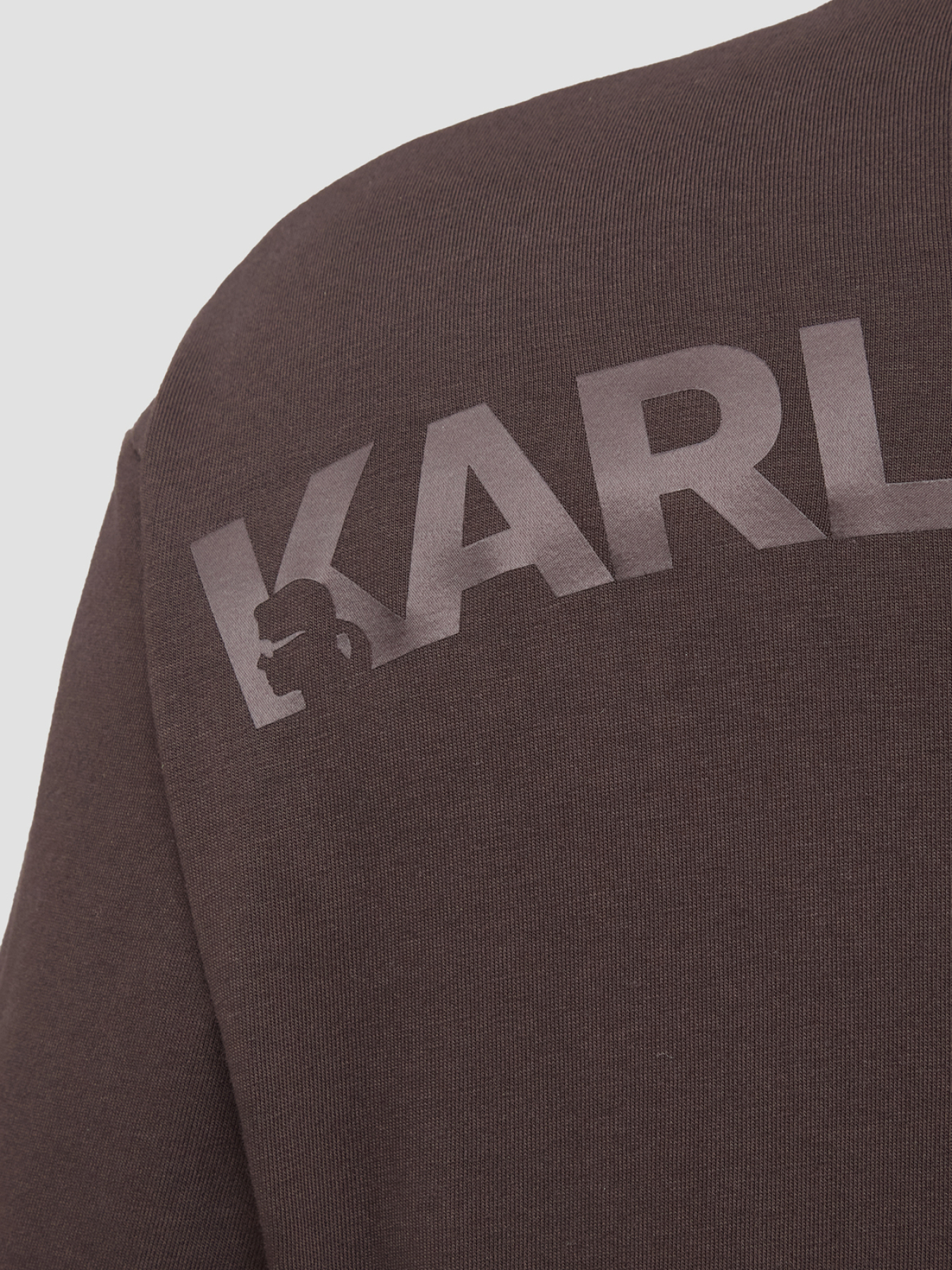 Футболки и поло Karl Lagerfeld модель 561225.755133;490 Футболки и поло Karl Lagerfeld модель 561225.755133;490 Фото