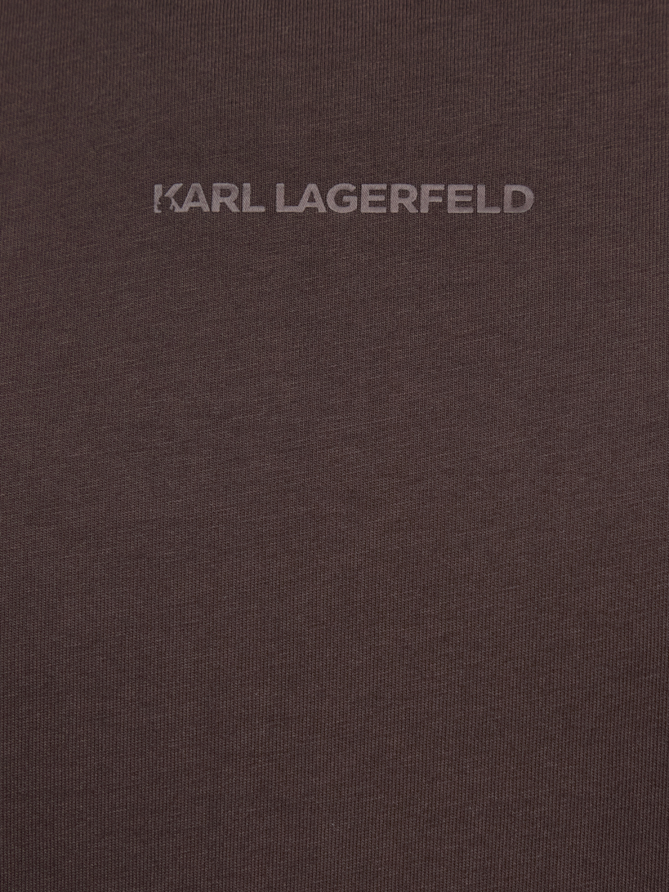 Футболки и поло Karl Lagerfeld модель 561225.755133;490 Футболки и поло Karl Lagerfeld модель 561225.755133;490 Фото