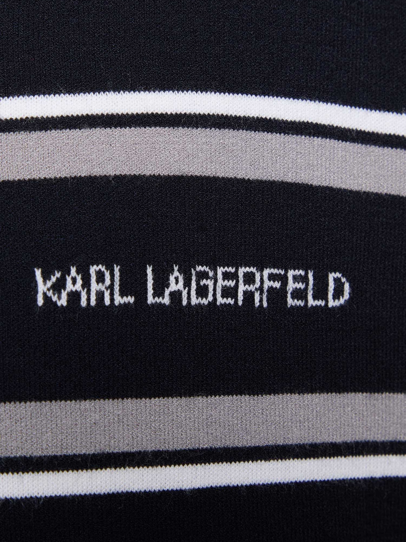 Футболки и поло Karl Lagerfeld модель 561302.655010;690 Фото