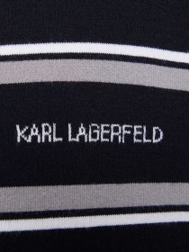 Футболки и поло Karl Lagerfeld модель 561302.655010;690 Фото