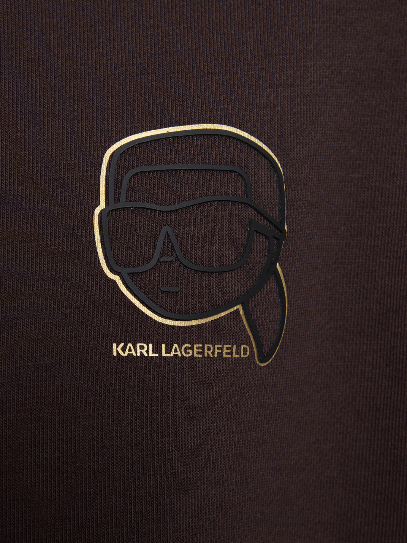 Худи и свитшоты Karl Lagerfeld модель 561910.705004;490 Фото