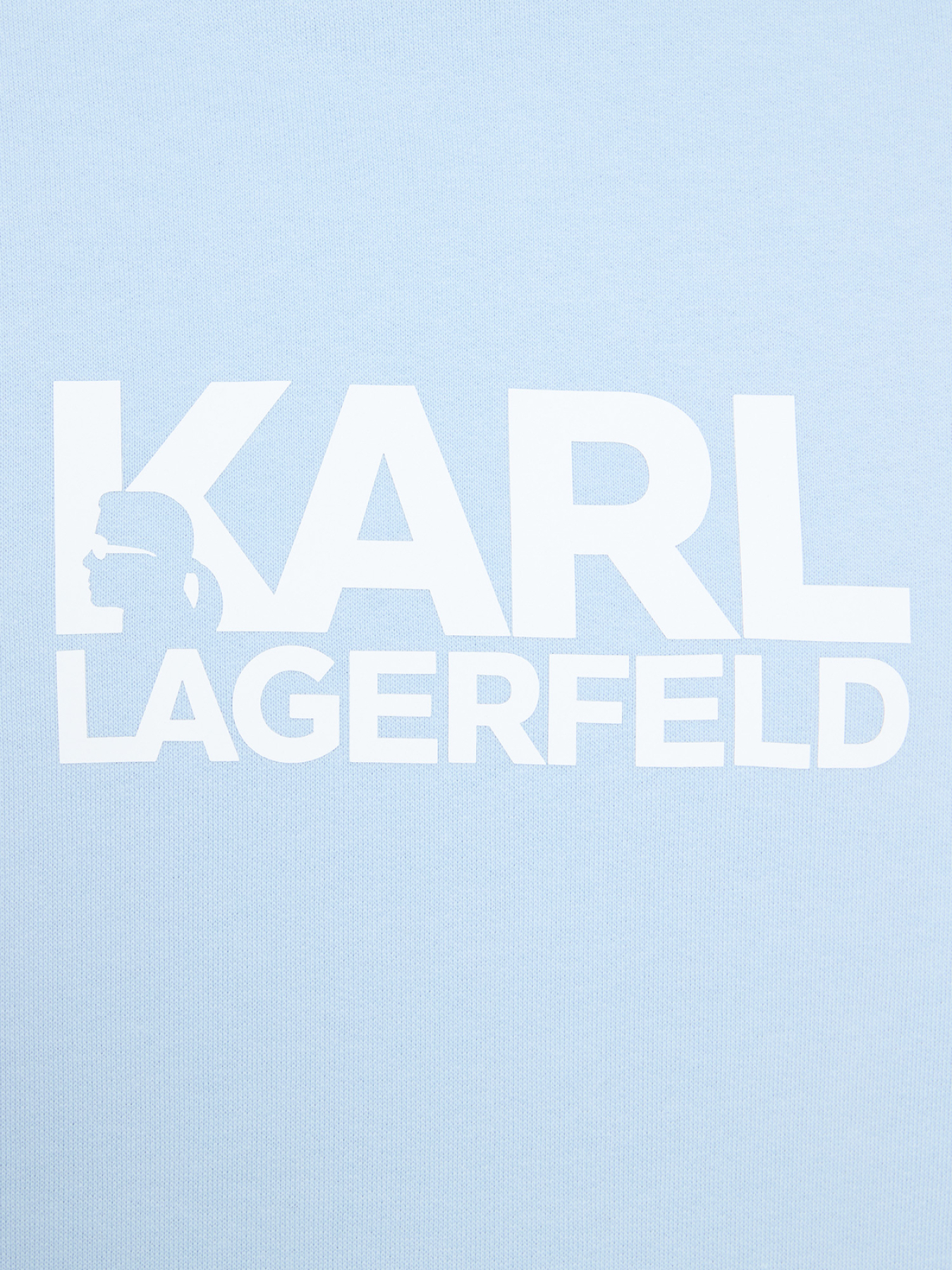 Худі та світшоти Karl Lagerfeld модель 561917.705780;600 Худі та світшоти Karl Lagerfeld модель 561917.705780;600 Фото