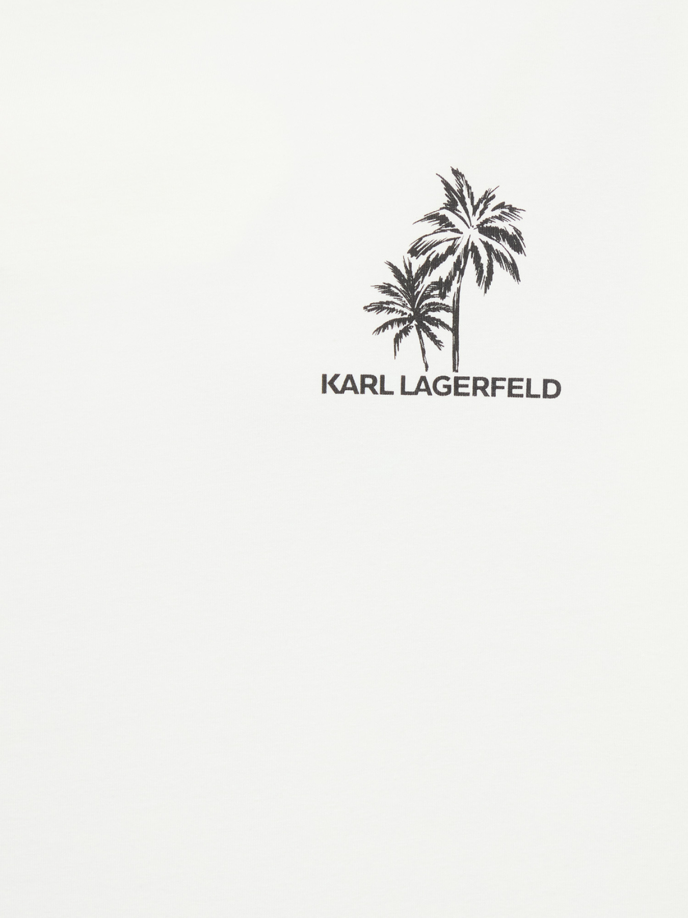 Футболки и поло Karl Lagerfeld модель 562221.755041;80 Футболки и поло Karl Lagerfeld модель 562221.755041;80 Фото