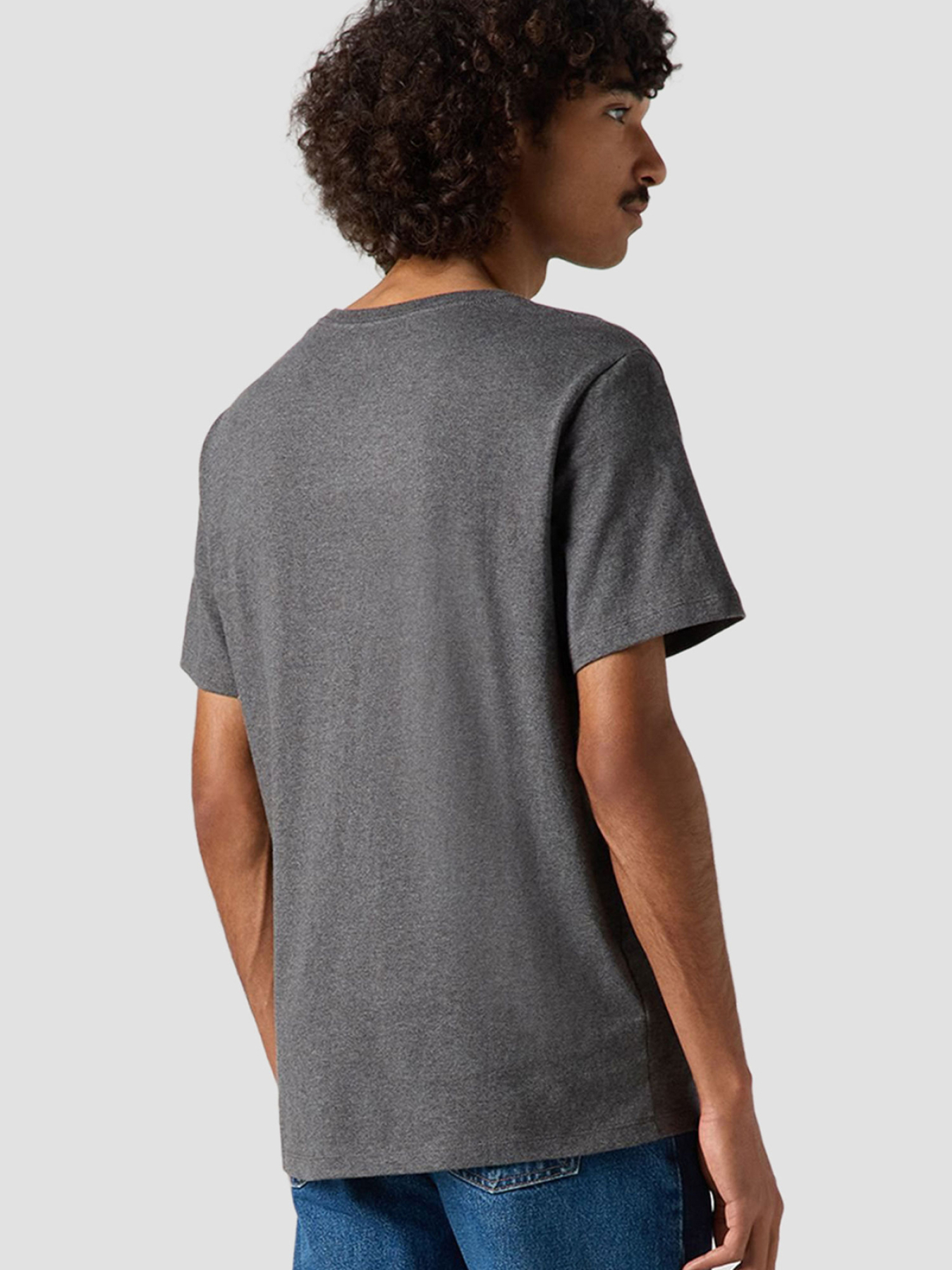 Футболки и поло Levi's модель 56605;0149 Футболки и поло Levi's модель 56605;0149 Фото