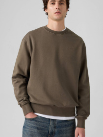 Худи и свитшоты Levi's модель A9244;0034 Фото