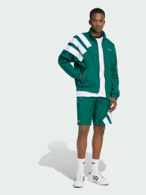 Худи и свитшоты Adidas Adicolor модель KD4070 Фото