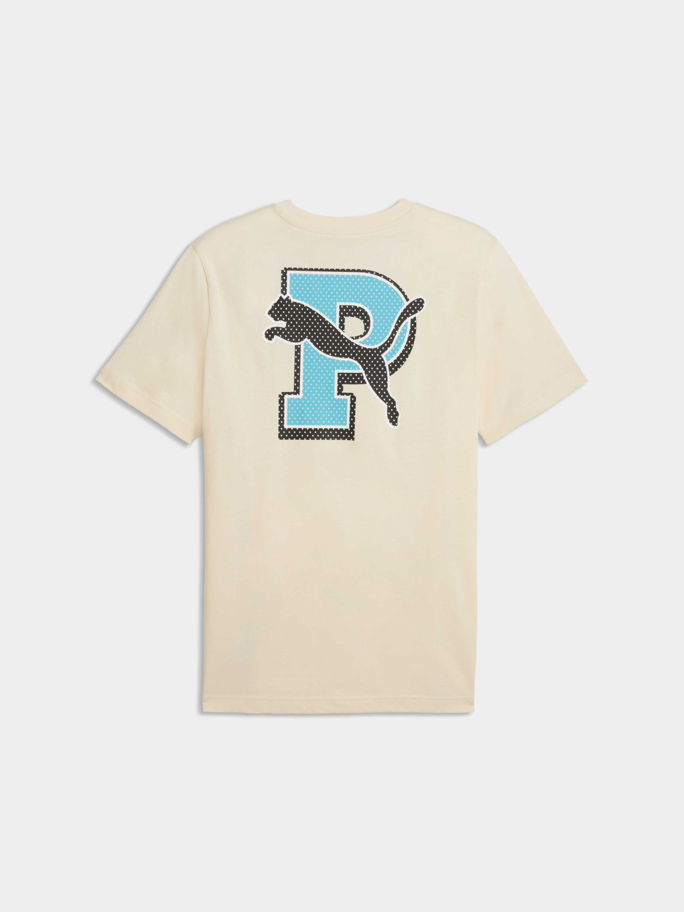 Футболки и поло PUMA Graphic Tee модель 691776 Фото