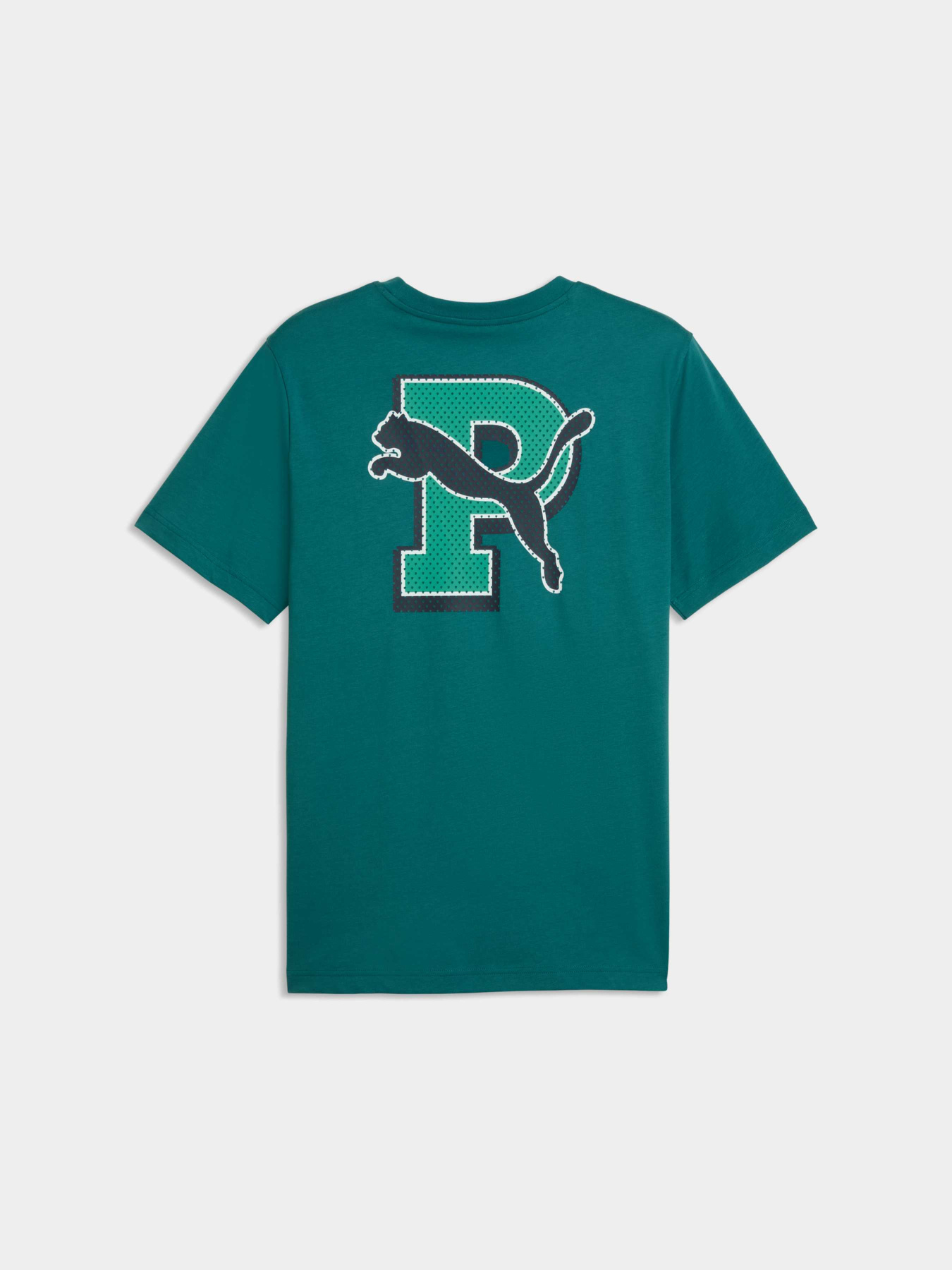 Футболки и поло PUMA Graphic Tee модель 691776 Фото