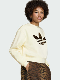 Худи и свитшоты Adidas Graphics модель KD3258 Фото