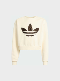 Худи и свитшоты Adidas Graphics модель KD3258 Фото