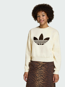 Худи и свитшоты Adidas Graphics модель KD3258 Фото