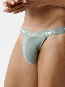 Нижнее белье Atlantic модель 3MP-1576_GRA_ZIEJ_GRAC Фото
