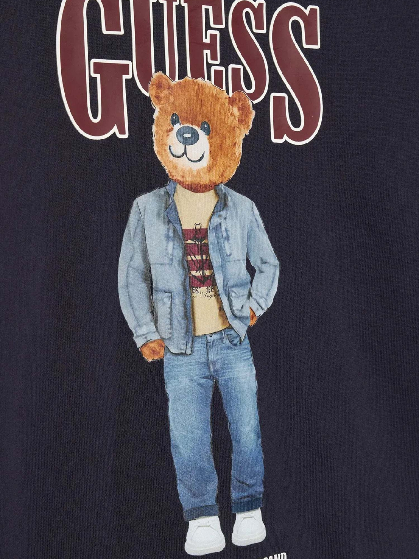 Худі та світшоти GUESS Kids модель L6RQ05.KAD74;G7V2 Фото