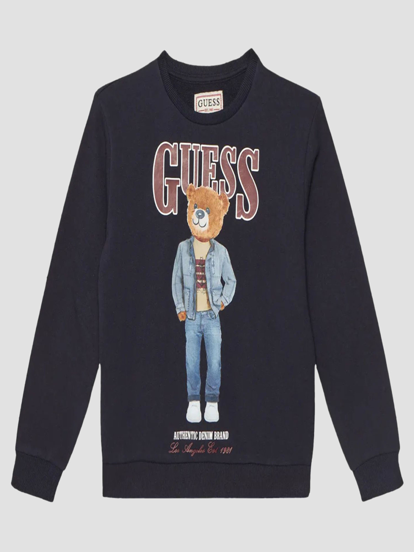 Худі та світшоти GUESS Kids модель L6RQ05.KAD74;G7V2 Фото