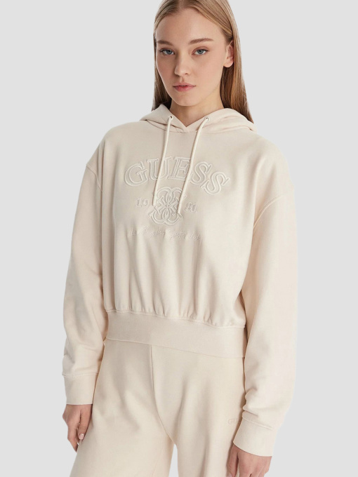 Худі та світшоти GUESS модель V6RQ03.KD761;G012 Фото