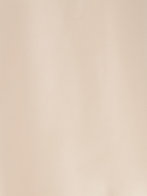 Спідниці GUESS модель W6RD1Q.WF1T2;G1FG Фото