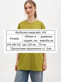 Футболки і поло HiBrand модель Wm293 Фото