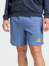 Шорты Adidas модель JZ6297 Фото