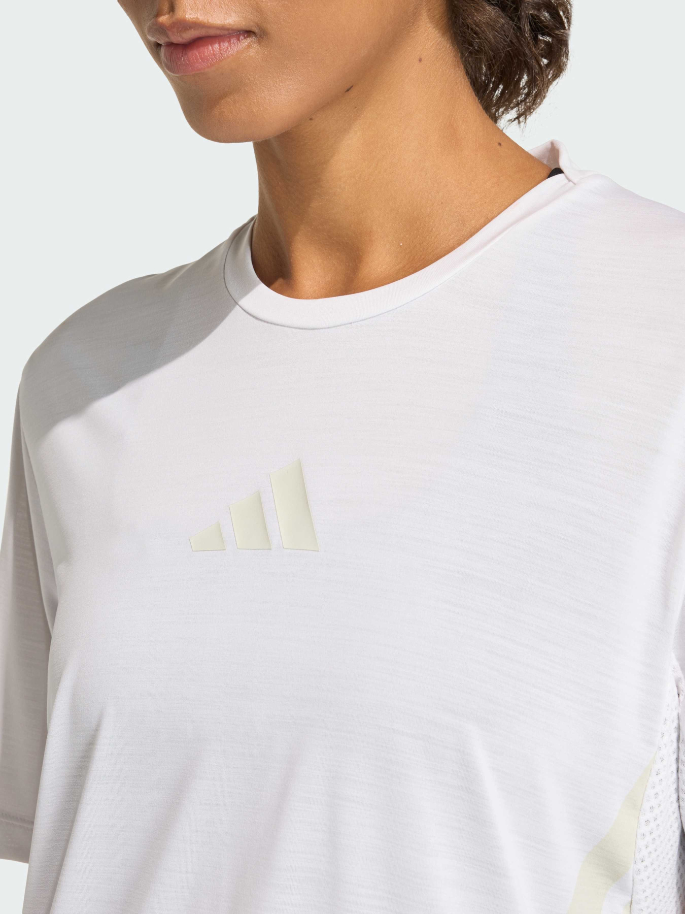 Футболки и поло Adidas Terrex модель KD4857 Футболки и поло Adidas Terrex модель KD4857 Фото
