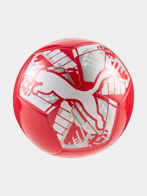 М'ячі PUMA Big Cat Ball модель 084937 Фото
