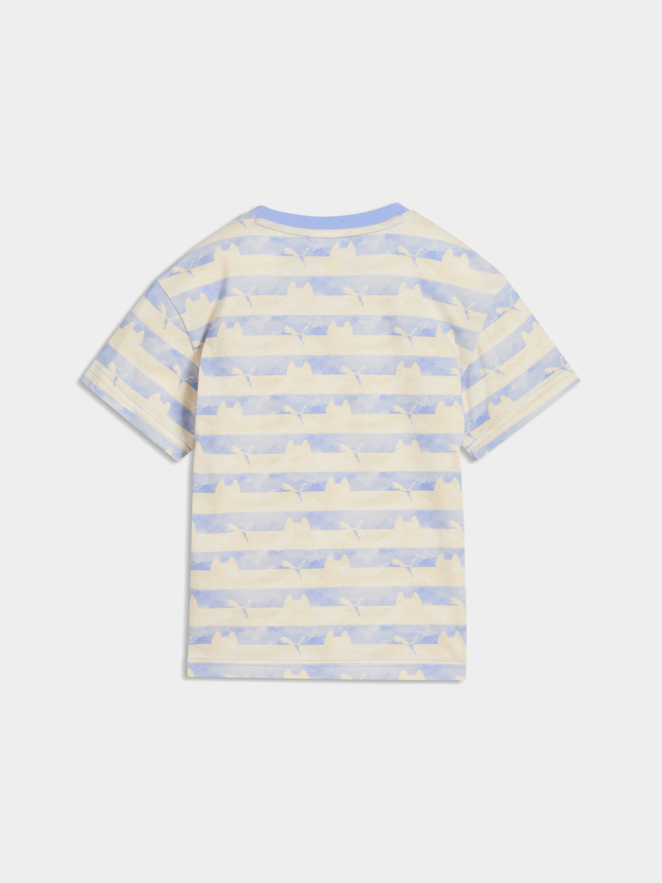 Футболки і поло PUMA x Gdh Aop Tee модель 634927 Фото