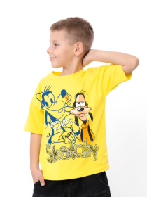 Футболки і поло Носи своє модель 6414-001-33-4-4-limon-goofy Фото