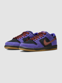 Кроссовки NIKE Sb Dunk Low Pro модель HQ1625-500 Фото