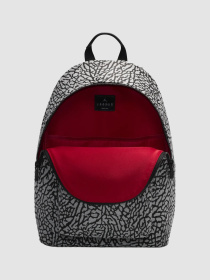 Рюкзаки Jordan Icon Backpack (23.5L) модель HV1619-010 Фото