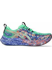Кроссовки Asics Noosa Tri модель 1011B872-301 Фото