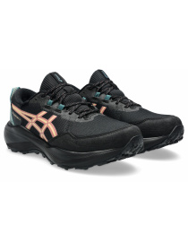 Кроссовки Asics Gel-venture модель 1012B934-001 Фото