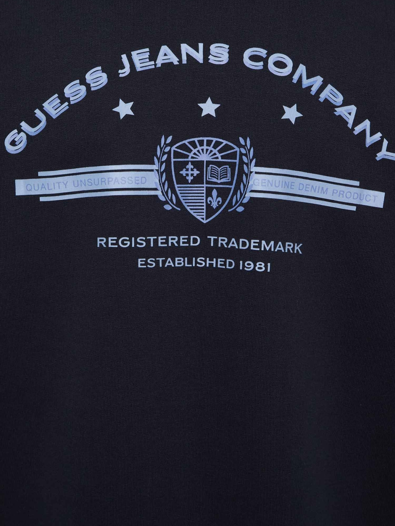 Худі та світшоти Guess Jeans модель M5BQ28.K9V31;A71W Фото