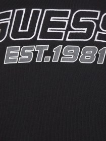 Худи и свитшоты GUESS модель Z5YQ02.KCE91;JBLK Фото