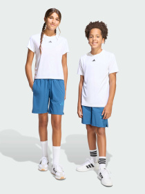 Шорты Adidas ZNE модель KG1002 Фото